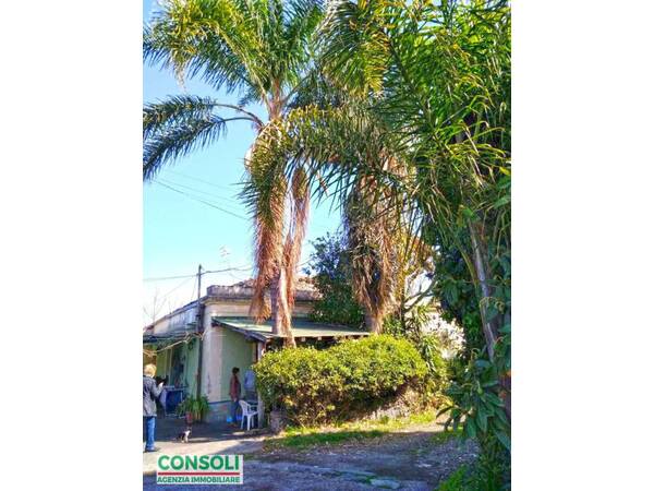 Giarre zona San Leonardello casa singola con giardino palmen