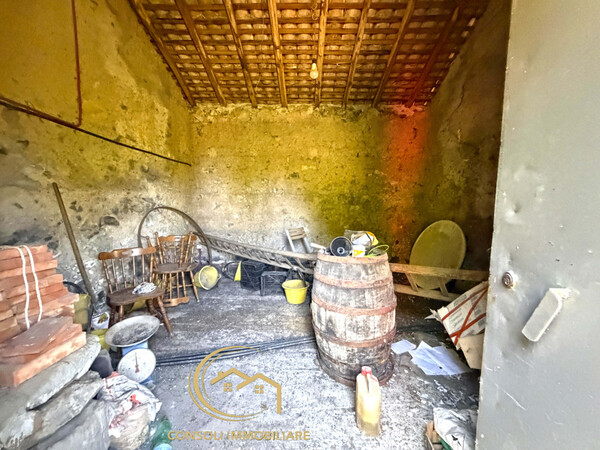 Rustico con terreno