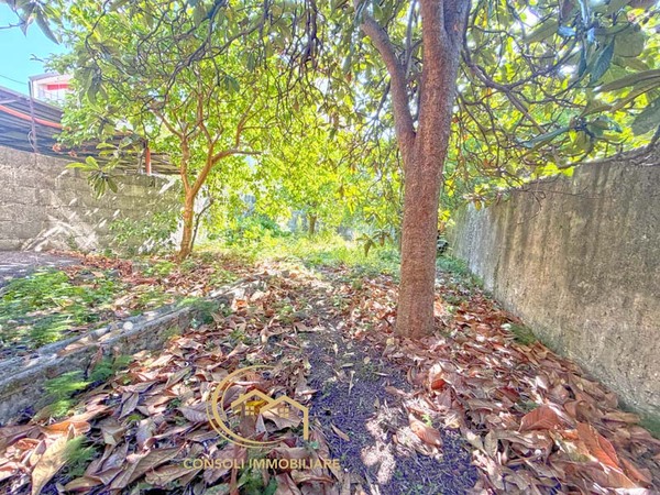 Terratetto angolare con giardino a Giarre (CT)