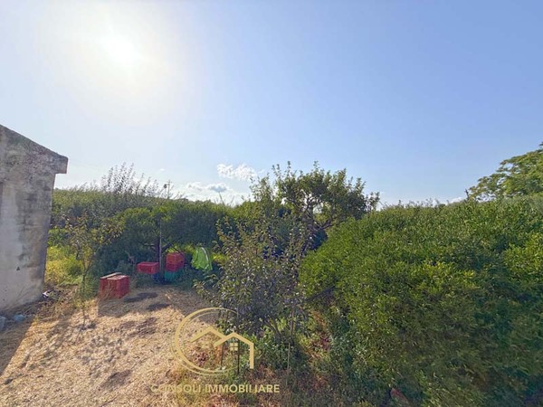Agrumeto, frutteto, uliveto a Piedimonte Etneo